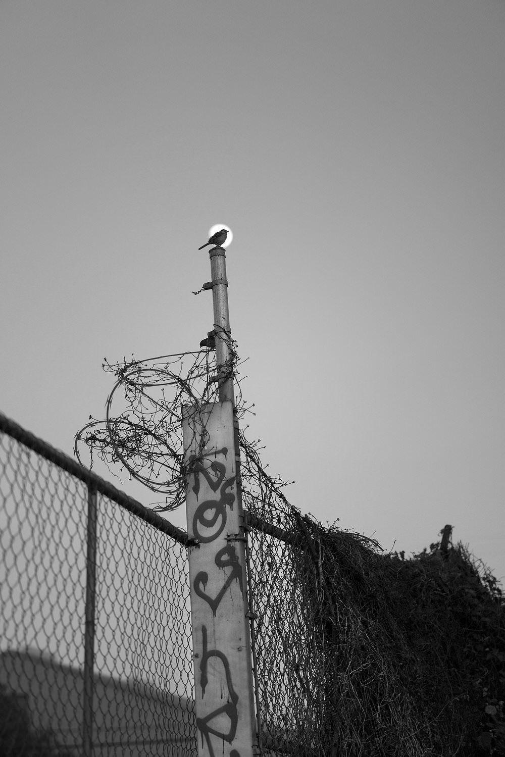 alex-ramos-it-will-hold-you-exibart-street-photography-07