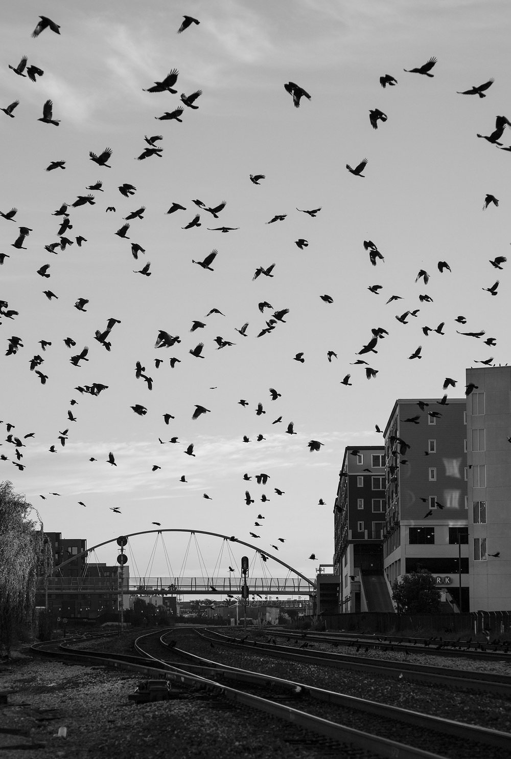 alex-ramos-it-will-hold-you-exibart-street-photography-09