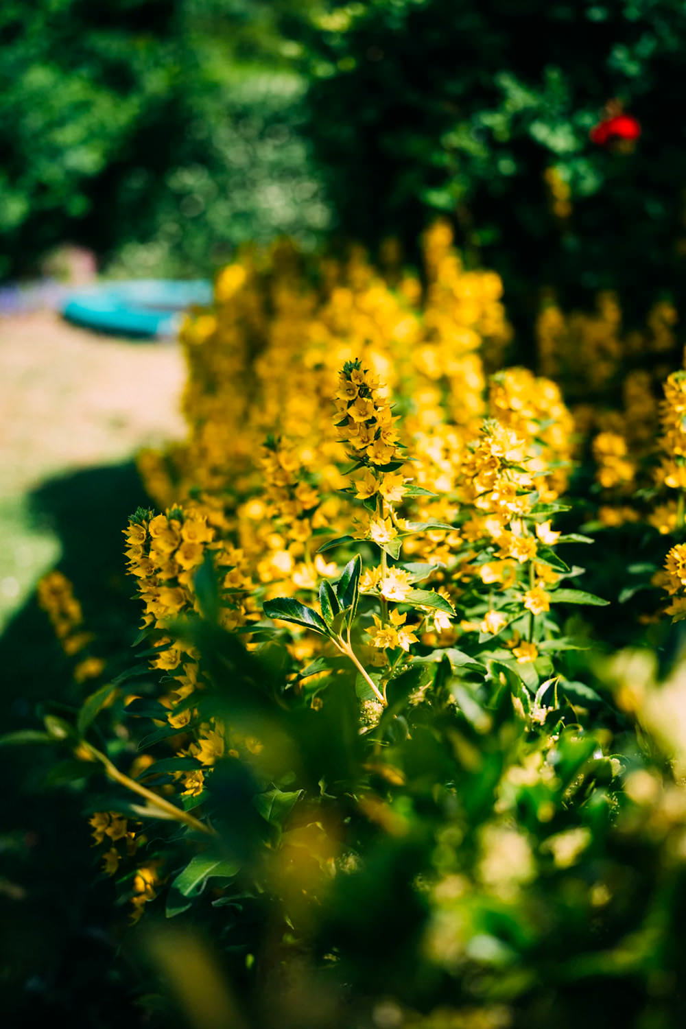 light-lens-lab-apochromatic-lens-exibart-street-photography-07
