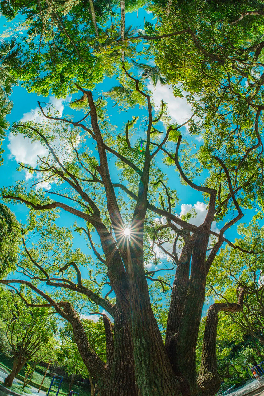 7artisans-max-lens-series-exibart-street-photography-04
