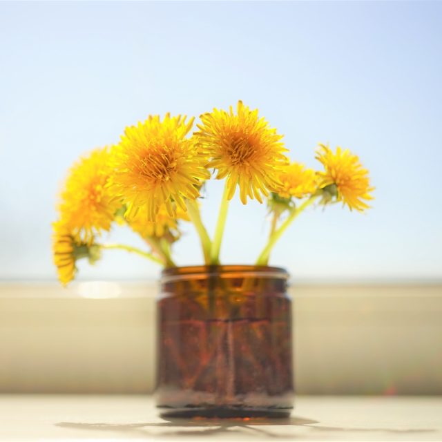 Profile picture of floral