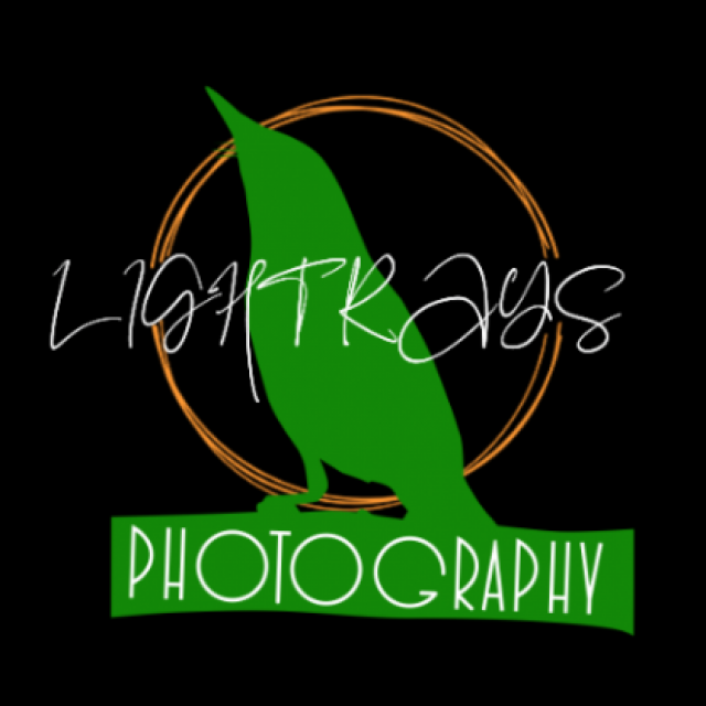 Profile picture of Light Rays Photography