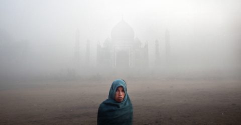 Foggy morning 3