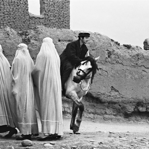 Three Burqas and Horse