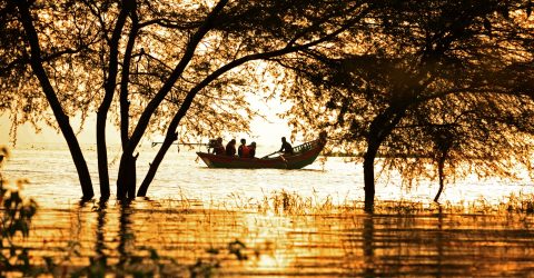 Sunlight: the most precious gold found on earth.