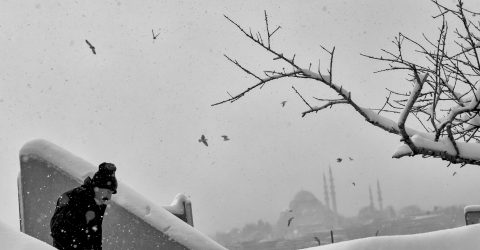 old winter