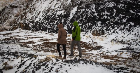 Snowy day