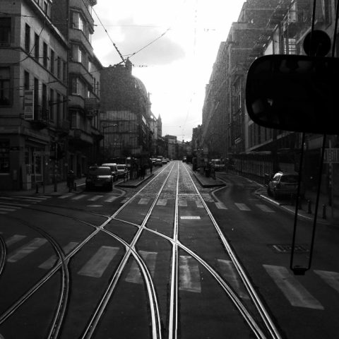 LINES