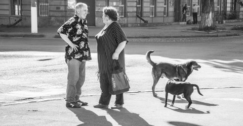 People and dogs