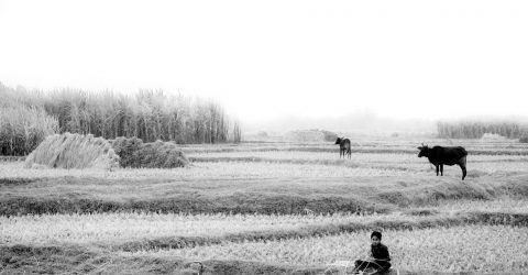 A Village-scape