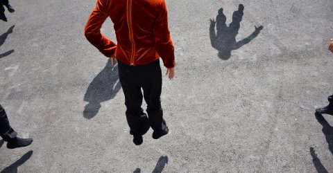 The dance with shadow
