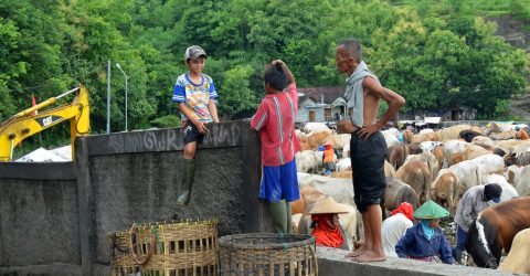 children and trash