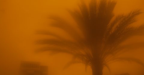 El Segundo evening 23 (LA)