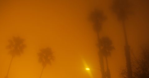El Segundo evening 6 (LA) 5 Palm Trees and a Light