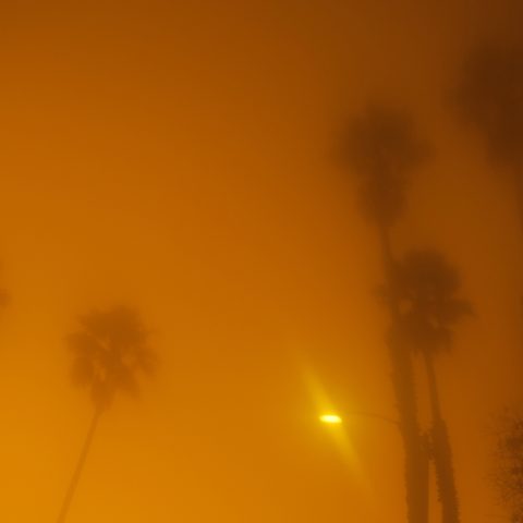 El Segundo evening 6 (LA) 5 Palm Trees and a Light