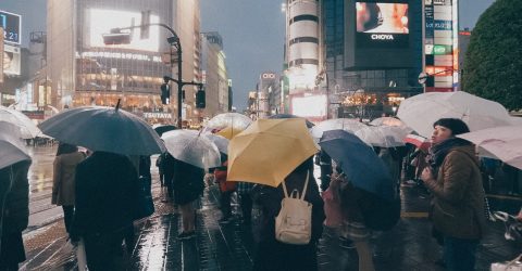 ONE RAINY NIGHT, EVERYTHING WAS BRIGHT. #3