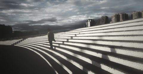 WALK THE LINES