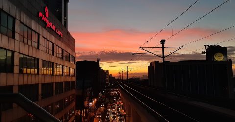 Before it Sets