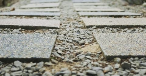 Path