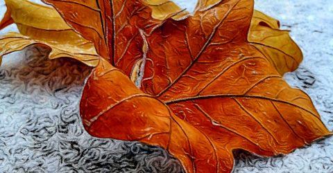 L’inverno