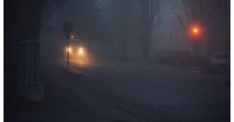 Fog