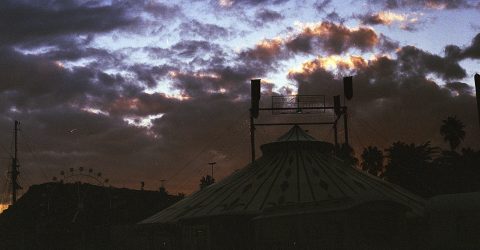 Circus are dying