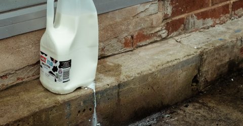 Spilt milk