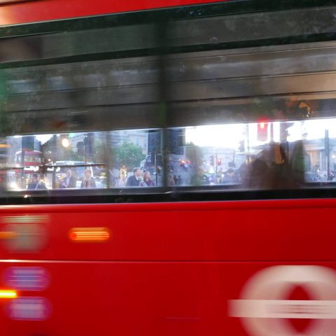 “Happiness is a window seat on a bus”