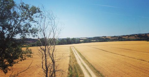 crossroads