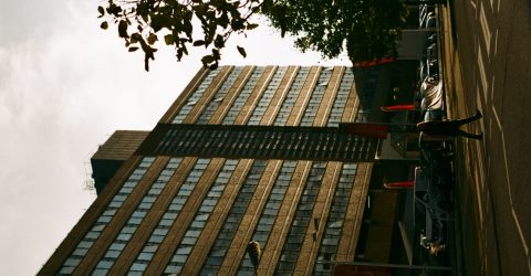 Finding beauty in the mundane