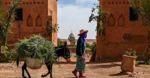 Ait Benhaddou village