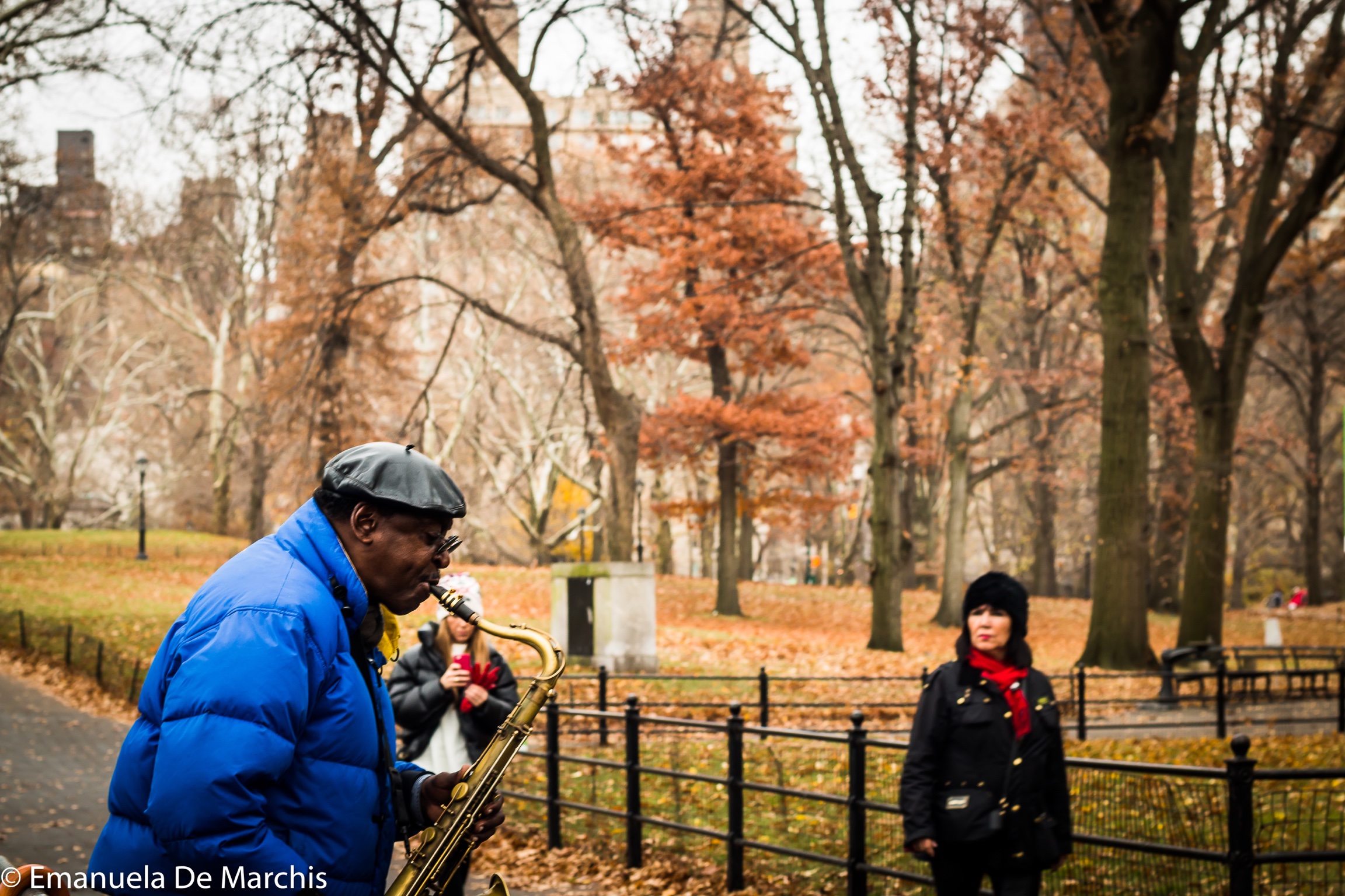 Music in Central Park Exibart Street