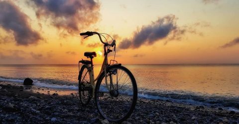 Like Bike