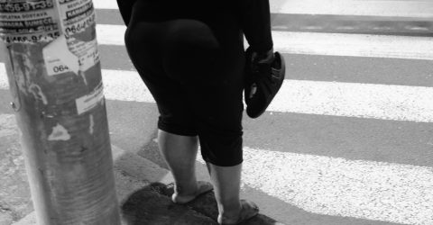 Take a walk on the wild side