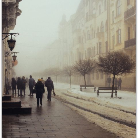 Fog on Herrengasse