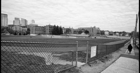 Bronx, NYC