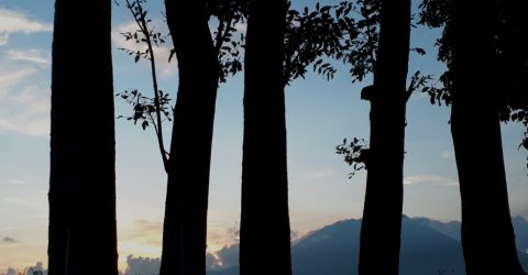 Behind the Silhouettes