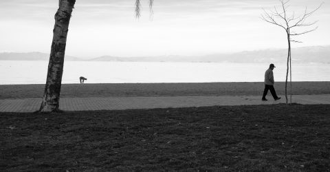 By the lake