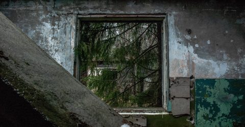 A window from an abandoned world