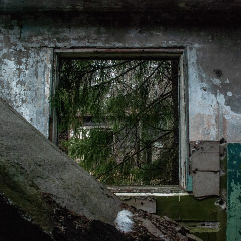 A window from an abandoned world
