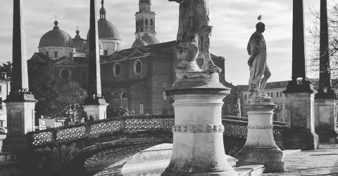 Pigeons and Art