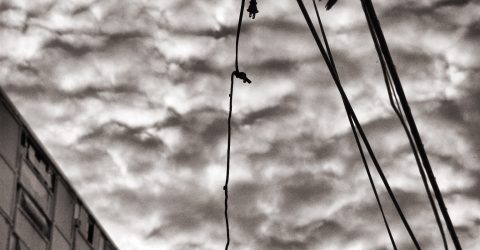 Cables