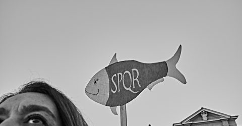 Sardine pt.7