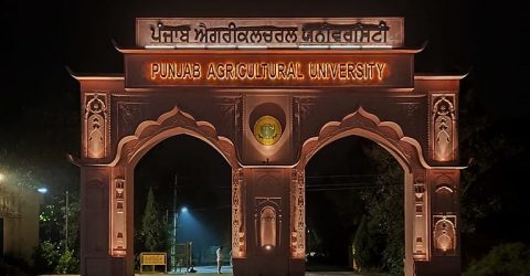 PAU Gate Ludhiana