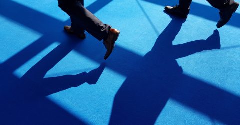 Marine Business Shadows