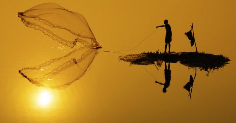 Try to catch the Sun