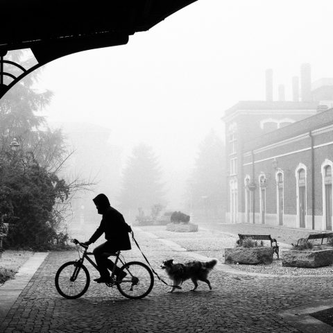 A foggy day