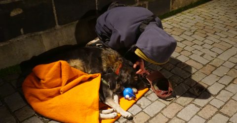Cohabitation on the street
