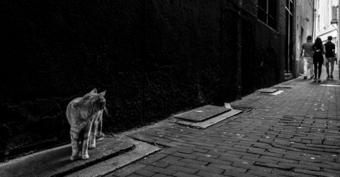 Lost