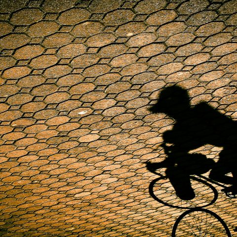 Biker’s Shadow